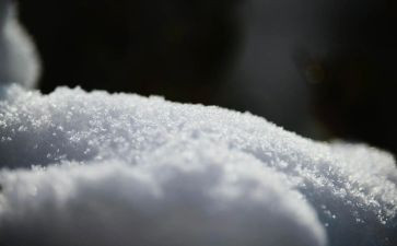写我与雪故事作文推荐8篇