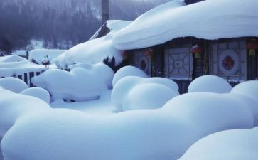 雪后作文8篇