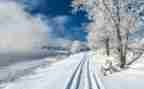 雪的四年级作文模板8篇