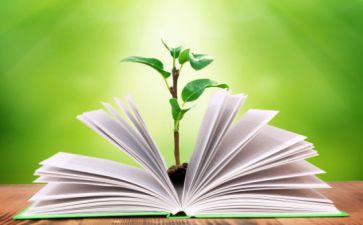 小班教学工作月总结通用5篇