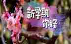 小班这学期教师工作计划通用6篇