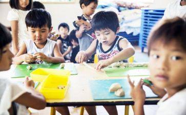 学前主题活动教育方案策划7篇
