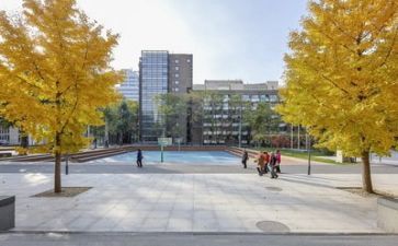 学校领导讲话稿优秀7篇