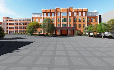 学校篮球活动方案7篇