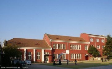 学校生活处工作总结6篇
