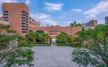 2024学校副校长个人述职报告6篇