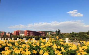 学校三说活动总结通用8篇