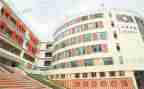 学校培训工作总结及计划6篇