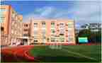 学校培训处工作总结优质8篇