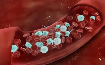 血液科的自我鉴定最新7篇