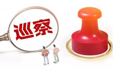 被巡察人个人工作总结6篇