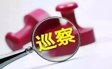 某巡察组巡察工作总结7篇