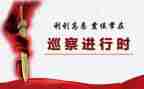 被巡察党委工作汇报材料6篇