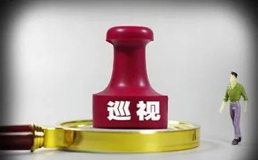 巡视工作报告8篇