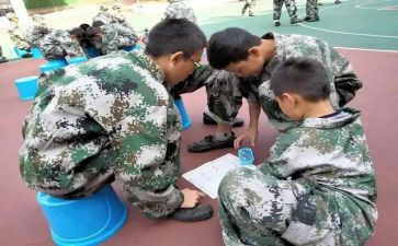 2024年培训学校工作总结优秀7篇