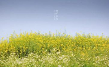 .叙事作文优质7篇
