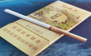 抽烟申请书5篇