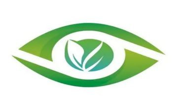 中班健康保护眼睛教案6篇