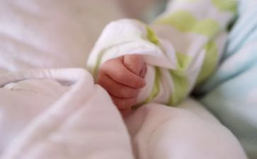 托班果宝宝教案7篇