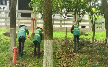 养护员述职报告8篇