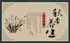 养生馆元旦活动方案6篇