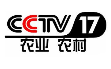 央视春节晚会观后感6篇