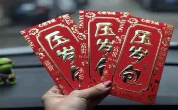 攒压岁钱作文模板6篇