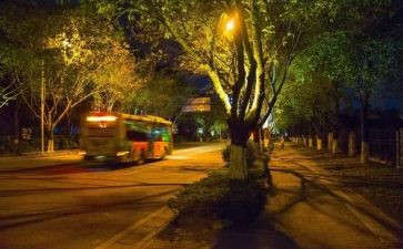 平安夜活动总结优质7篇