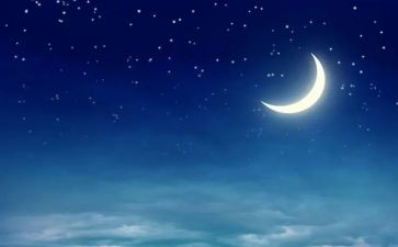 美丽的夜作文400字5篇