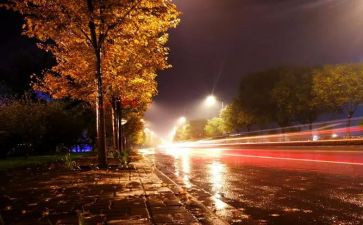 美丽的夜作文600字模板6篇