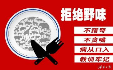 六年级拒绝野味演讲稿8篇