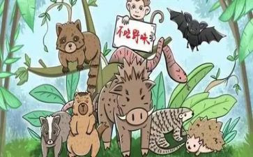 拒绝野味的演讲稿优质7篇