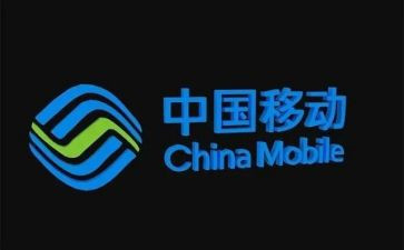 进移动公司的个人总结范文6篇