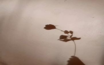 踩影子大班教案8篇