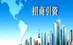 招商引资半年度工作总结5篇