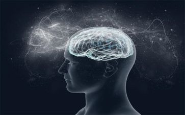 乡意识形态工作计划5篇