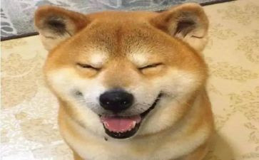 有趣的事作文300字6篇