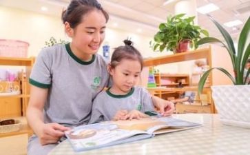 幼师年度述职报告5篇