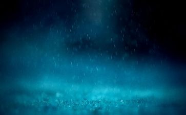 雨的卑微作文8篇