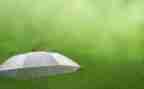 四年级雨作文300字作文优质6篇