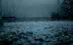 描写雨作文300字作文最新8篇