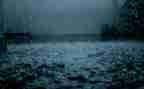 描写春雨的小作文7篇