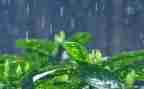 小雨作文500字作文5篇