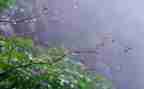 描写雨作文300字作文模板8篇
