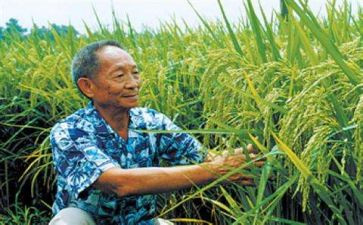 纪袁隆平作文优秀5篇