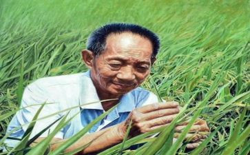关于袁隆平的事迹8篇