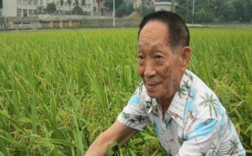 作文袁隆平500字7篇
