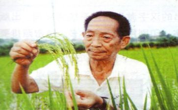 写袁隆平作文5篇