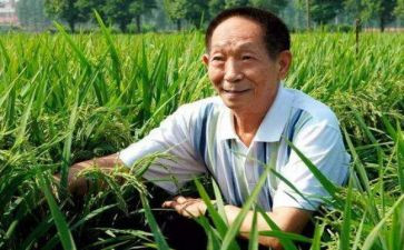 袁隆平传记作文8篇
