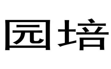 幼儿园培训的心得体会范文推荐7篇